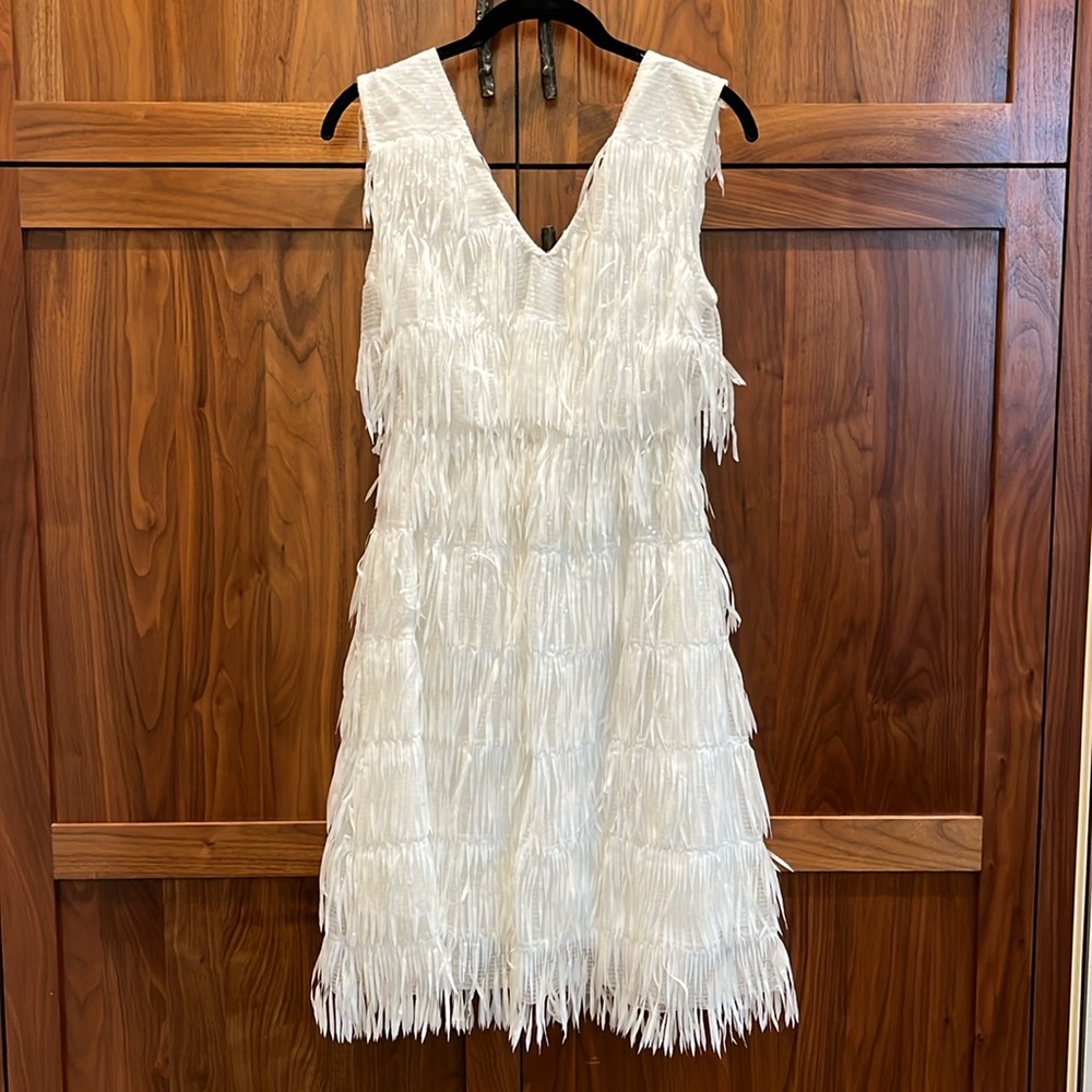 Southern Fried Chics - Fringe & Sequin Dress